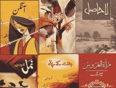 A List of the Best Urdu Novels So Far